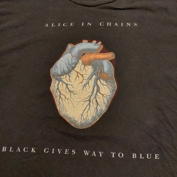Alice In Chains Black gives way to blue 2010 heart graphic concert t shirt. XL - Picture 4 of 7